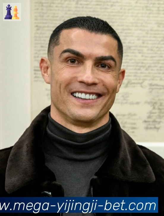维尼修斯